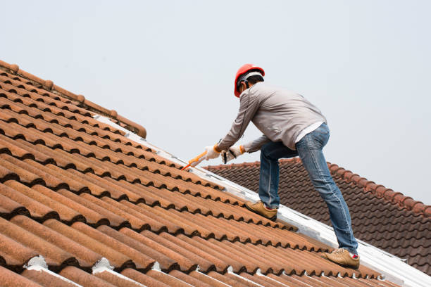 Best Roof Insulation Installation  in Canutillo, TX