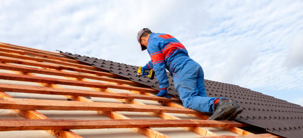 Best Sheet Metal Roofing  in Canutillo, TX